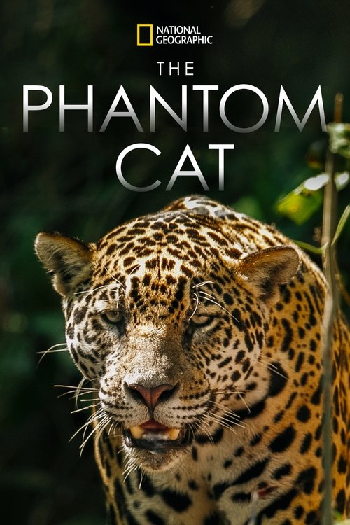 The Phantom Cat: Jaguar Poster