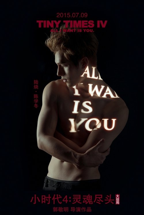 小时代4:灵魂尽头 poster