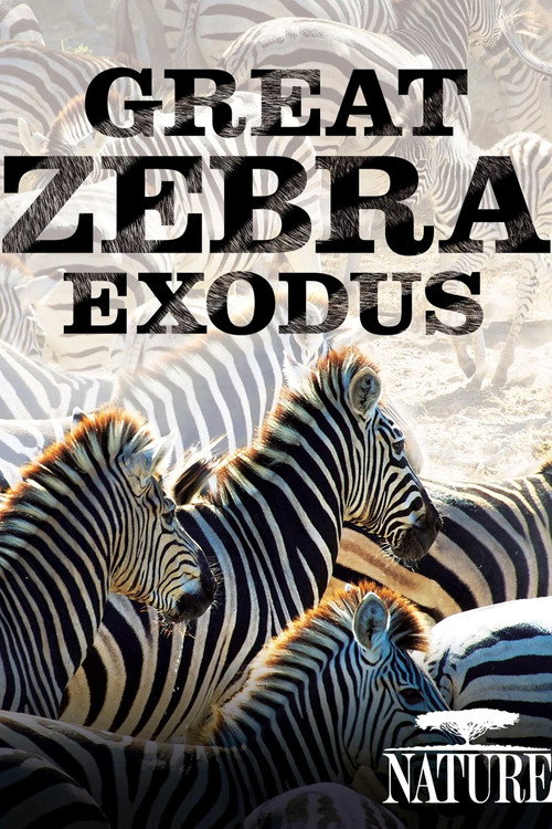 Nature: Great Zebra Exodus