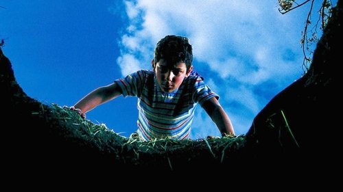 L'été où j'ai grandi (2003) Streaming Vf en Francais