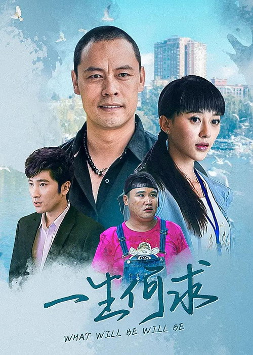 一生何求电影海报