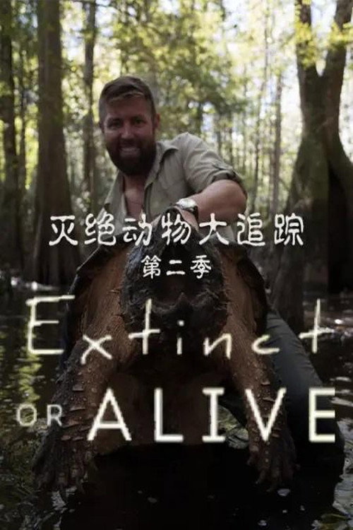 灭绝动物大追踪电影海报