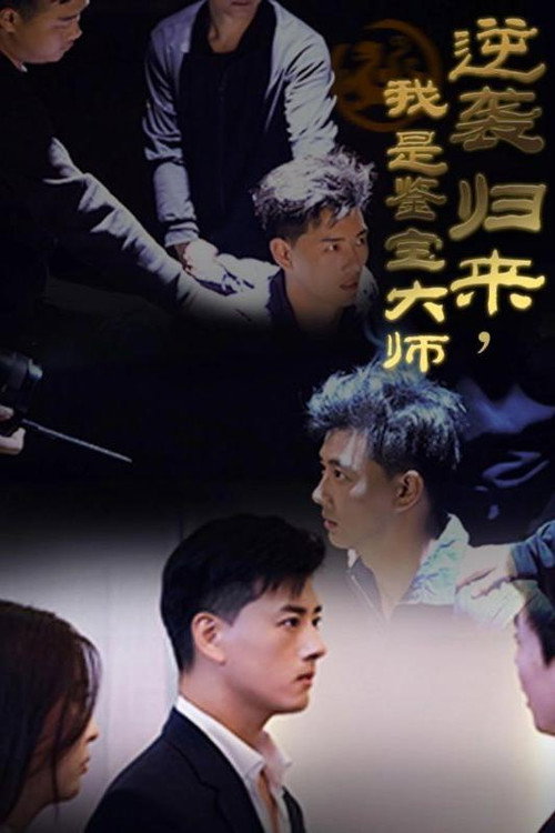 逆袭归来，我是鉴宝大师电影海报