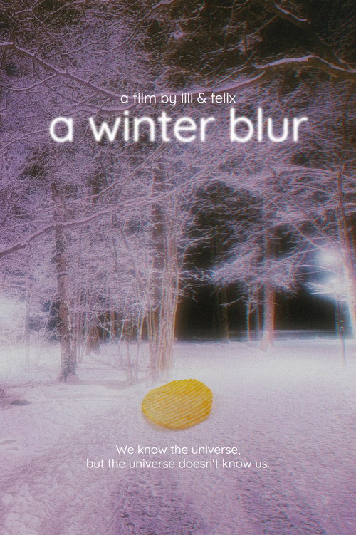 a winter blur电影海报