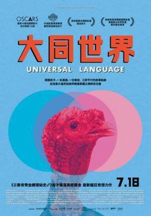 共同的语言电影海报