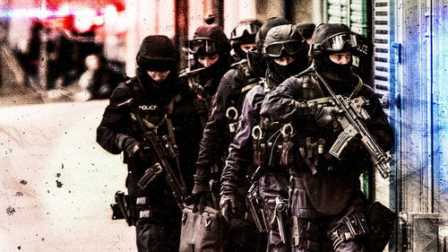 Taking Down the Gangs