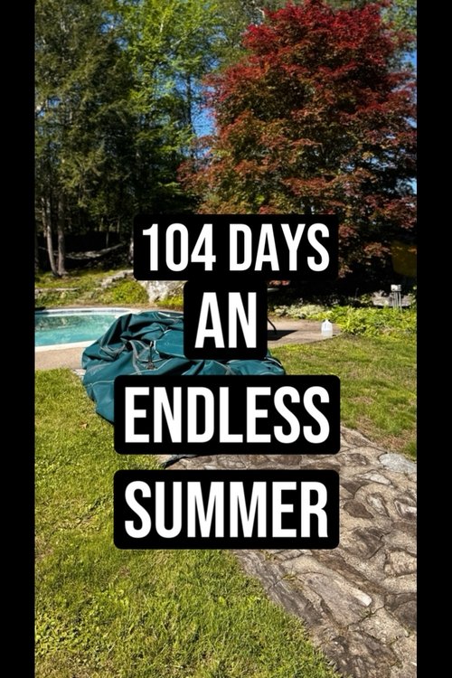 104 Days Of An Endless Summer
