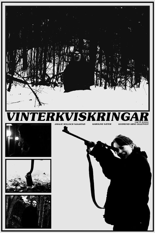 Vinterkviskringar Poster