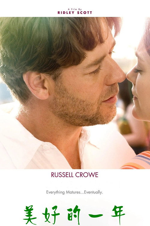 美好的一年电影海报