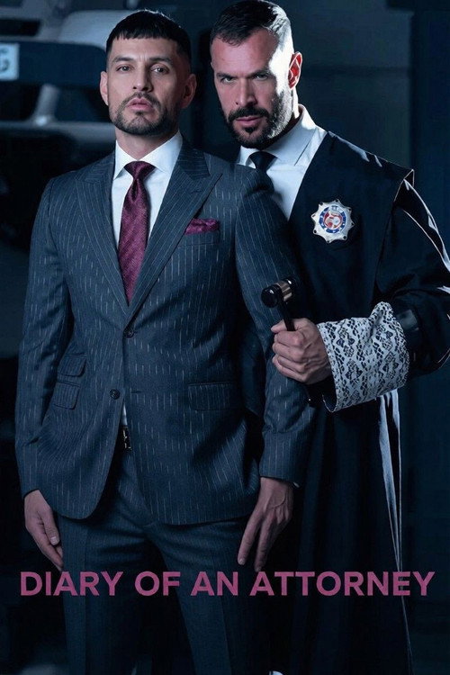 Diary of an Attorney Poster