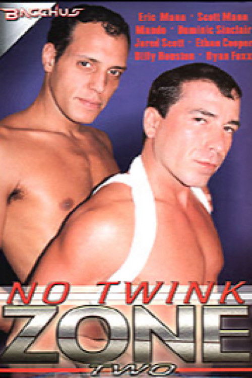 No Twink Zone 2 Poster