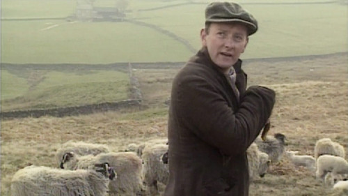 Where Sheep May Safely Graze