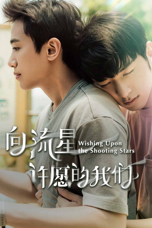 向流星许愿的我们电影海报