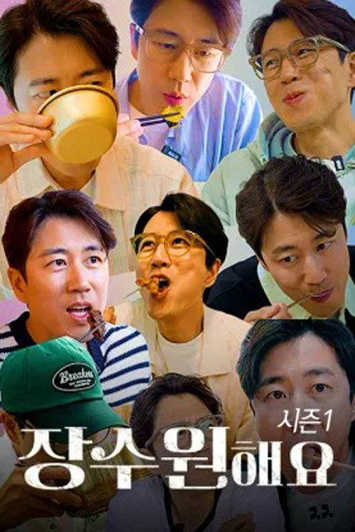 장수원해요电影海报