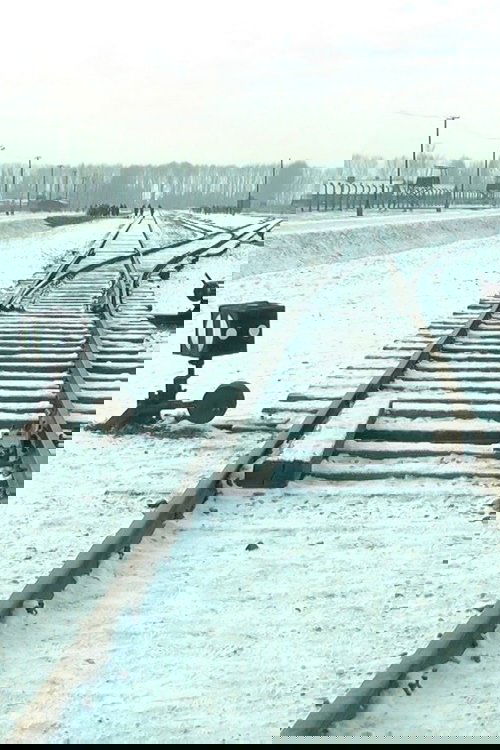 19 876 Steps in Auschwitz / Birkenau Poster