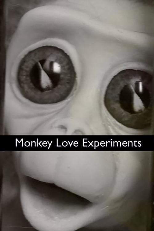 Monkey+Love+Experiments