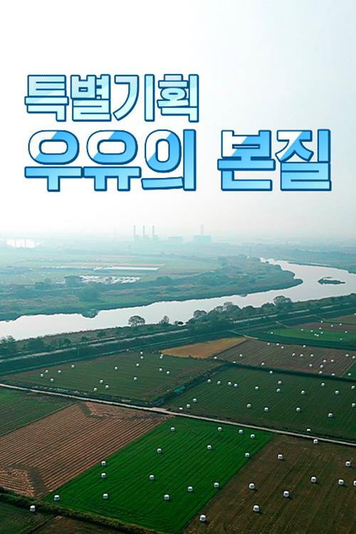 특별기획 우유의 본질电影海报