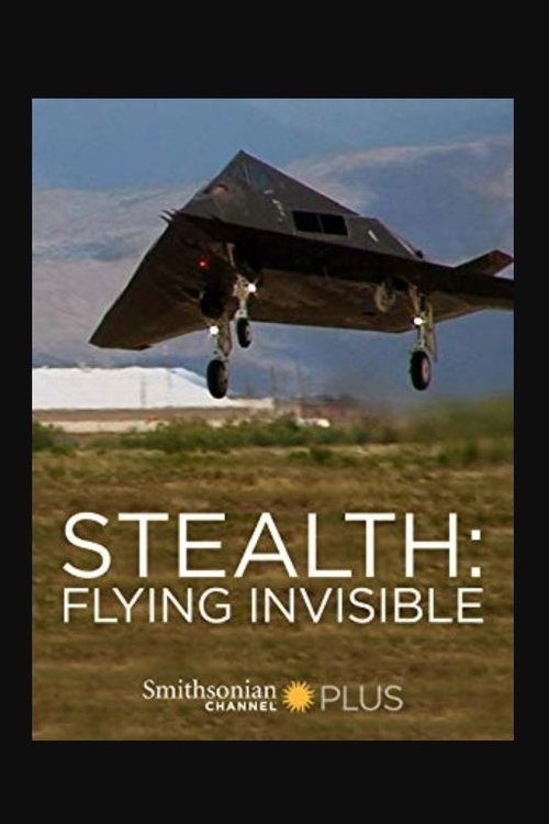 Stealth: Flying Invisible (2010) PelículA CompletA 1080p en LATINO espanol Latino