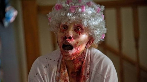 Zombieland: The Series (Pilot)