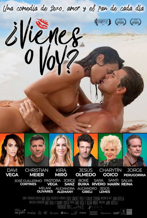 Vienes o Voy? poster 4