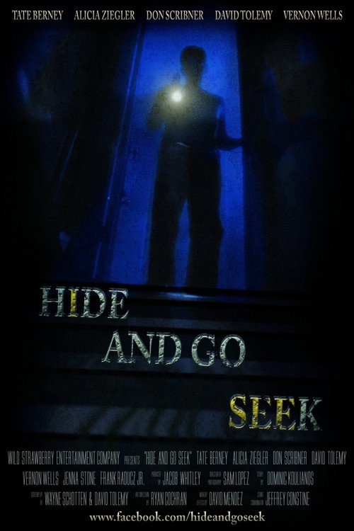 Hide and Go Seek poster 2