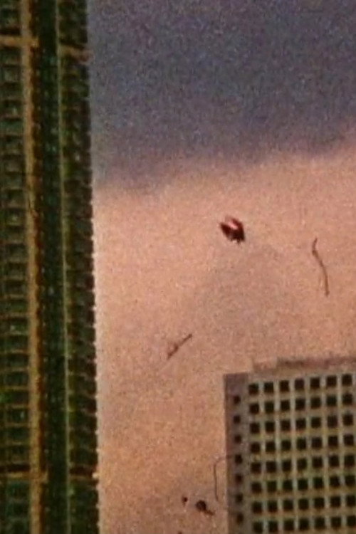 彼/彼女の电影海报