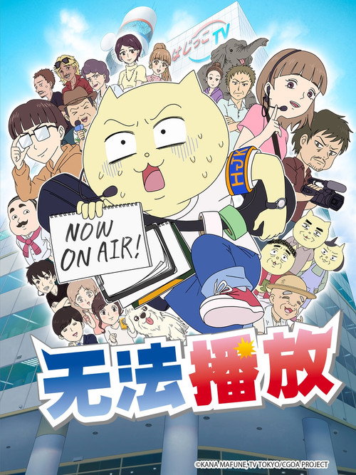不能播放！电影海报