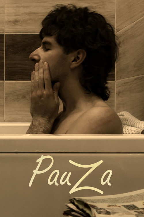 Poster for Pauza