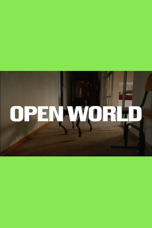 Open World电影海报