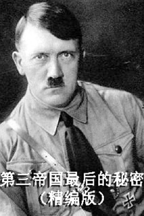 第三帝国最后的秘密电影海报