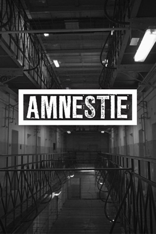 Amnestie (2019) Vollständiges Film-Streaming online ansehen