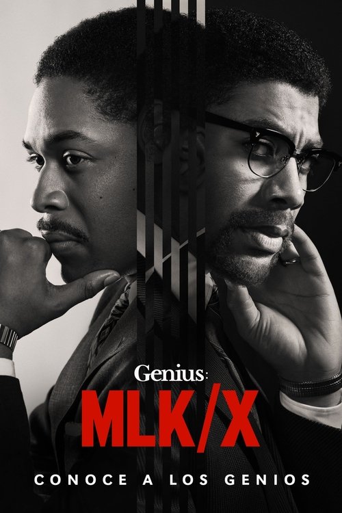 Poster of Genius: Einstein