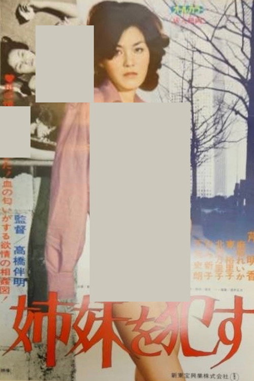 姉妹を犯す电影海报