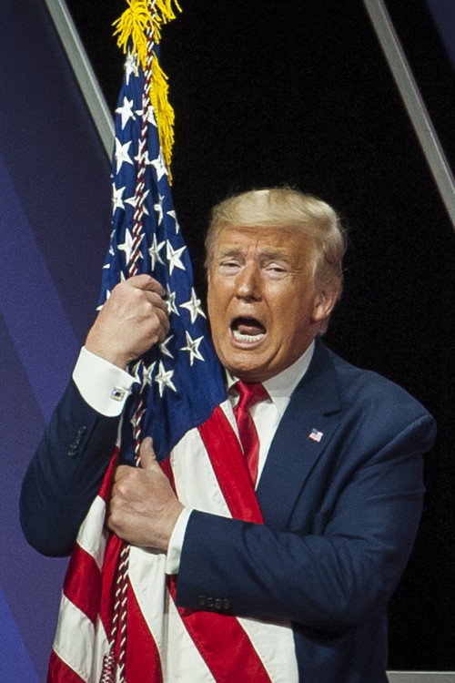 Donald Trump Is President and You're Not: A Portrait of Donald J. Trump poster 1