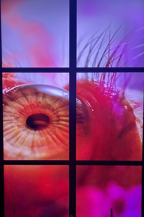 Peeping Freedom Shutters for Osakabe Sayaka (Apollomat vertical screen PFS_D) poster 2