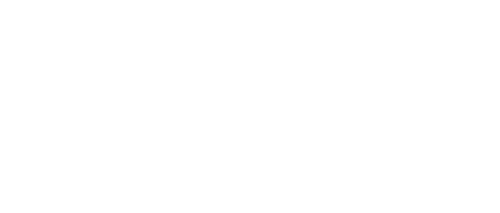 THE 355 Logo