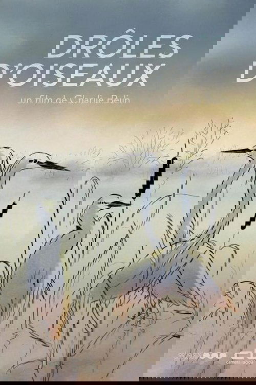 Background poster of Drôles d'oiseaux blurred
