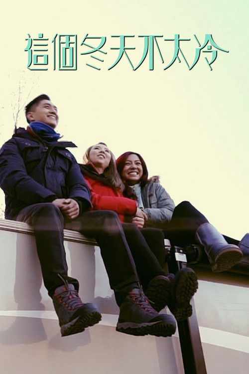 這個冬天不太冷电影海报