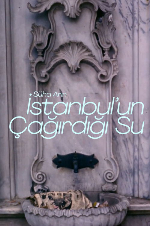 İstanbul'un Çağırdığı Su