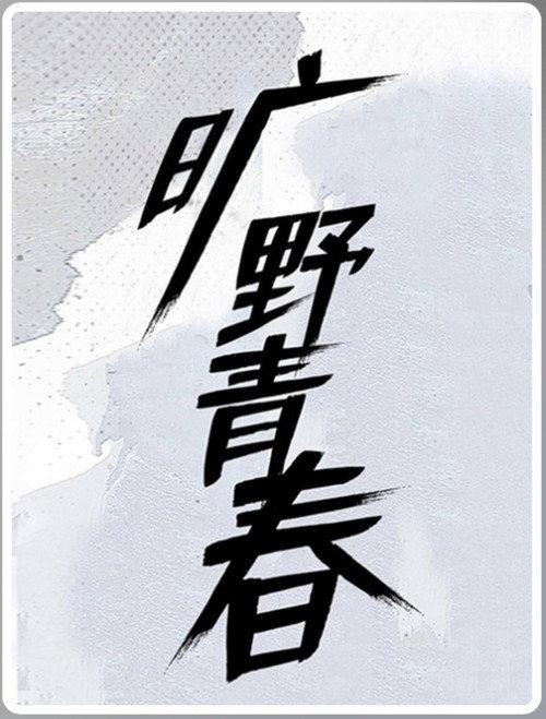 旷野青春电影海报