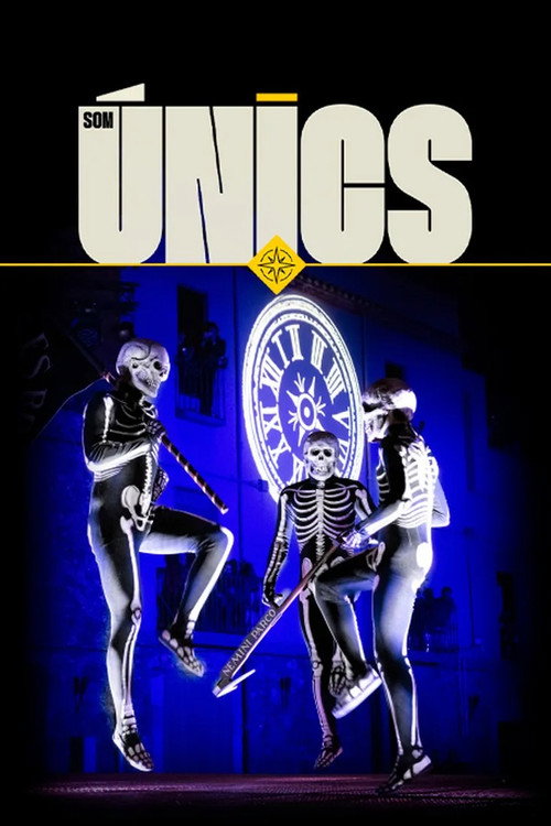 Som únics poster 4