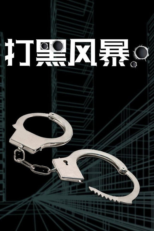 打黑风暴电影海报