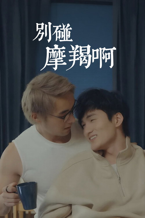 别碰摩羯啊！海报