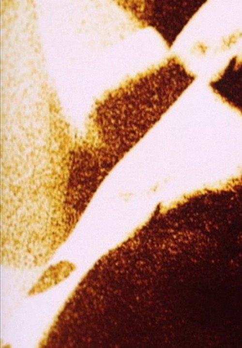 Spectral Cycle's poster