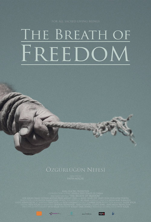 The Breath Of Freedom