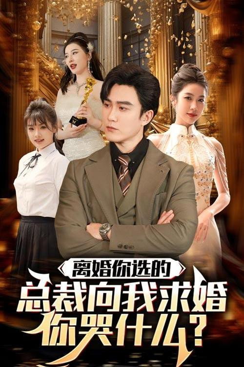 离婚你选的，总裁向我求婚你哭什么电影海报