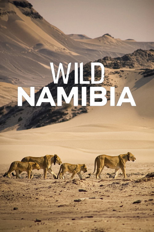 Wild Namibia Poster