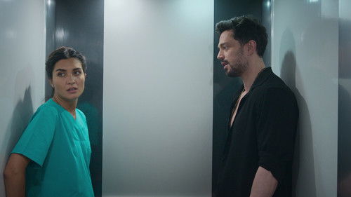 Zeytin Ağacı - 2. Bölüm