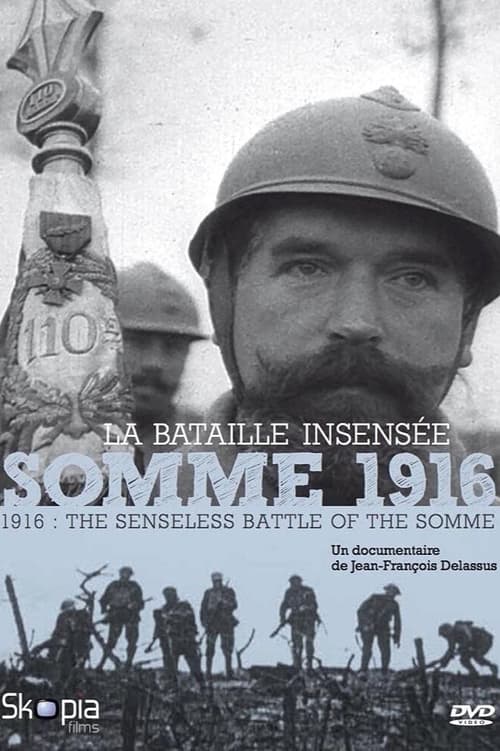 Somme+1916%2C+la+bataille+insens%C3%A9e