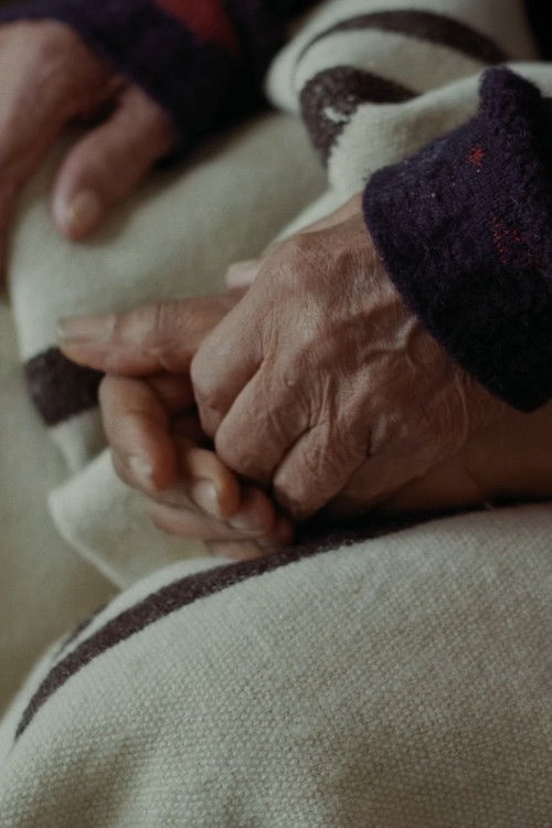 All the Hands I’ve Let Go